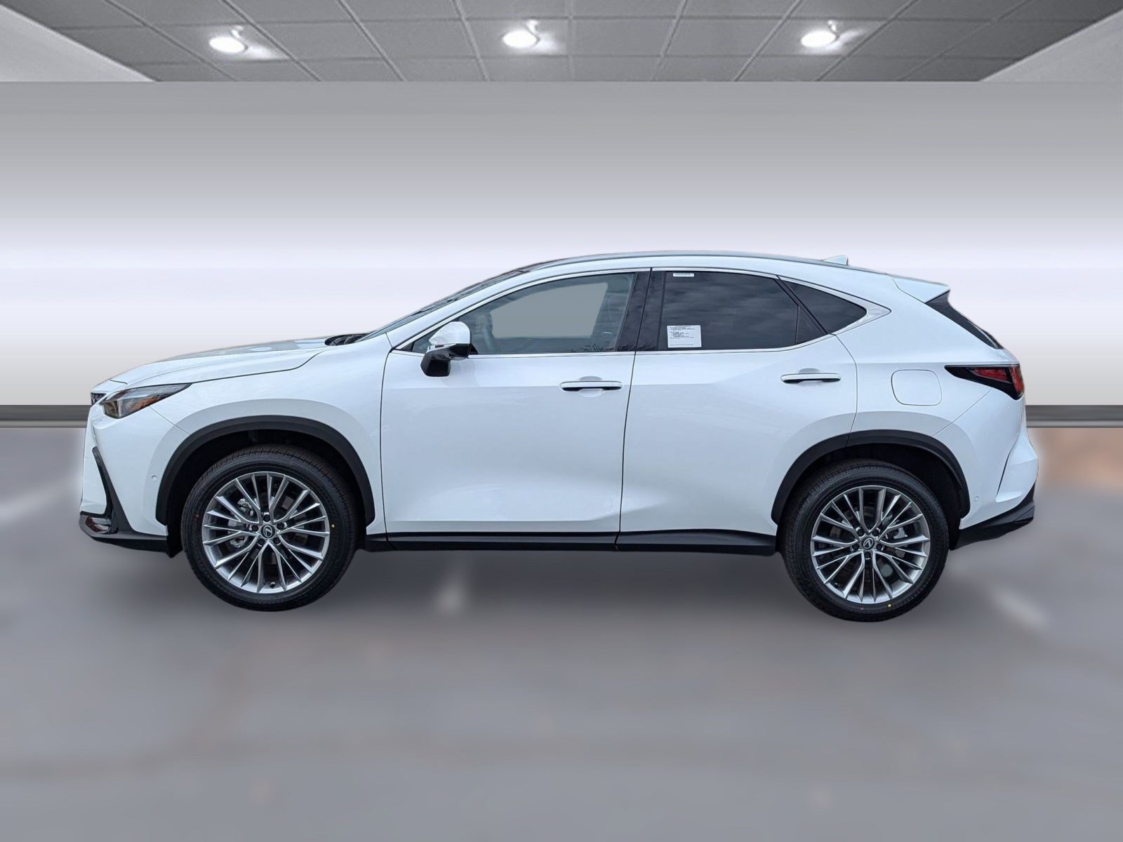 2026 Lexus NX 350 Luxury photo 2