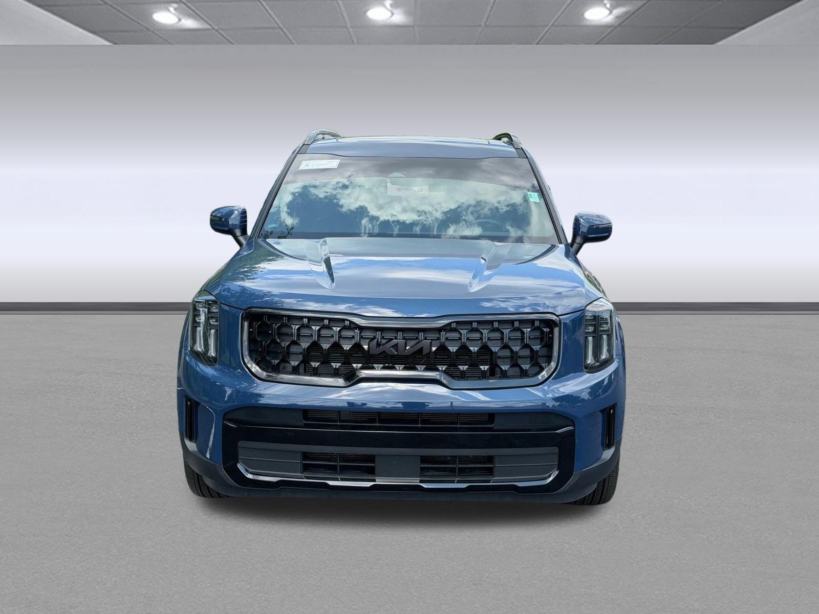 2025 Kia Telluride EX X-Line - Photo 6