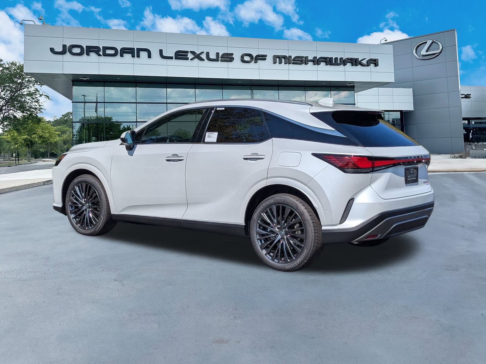 2025 Lexus RX 350 Luxury AWD photo 3