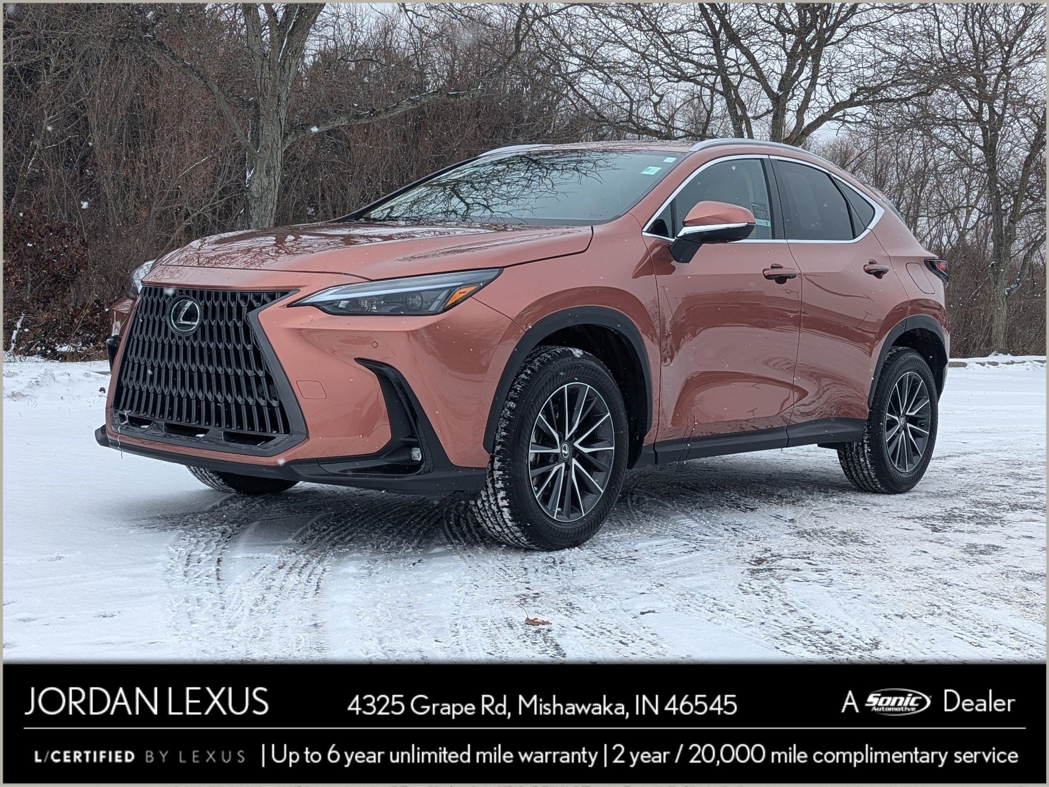 2025 Lexus NX 350's photo