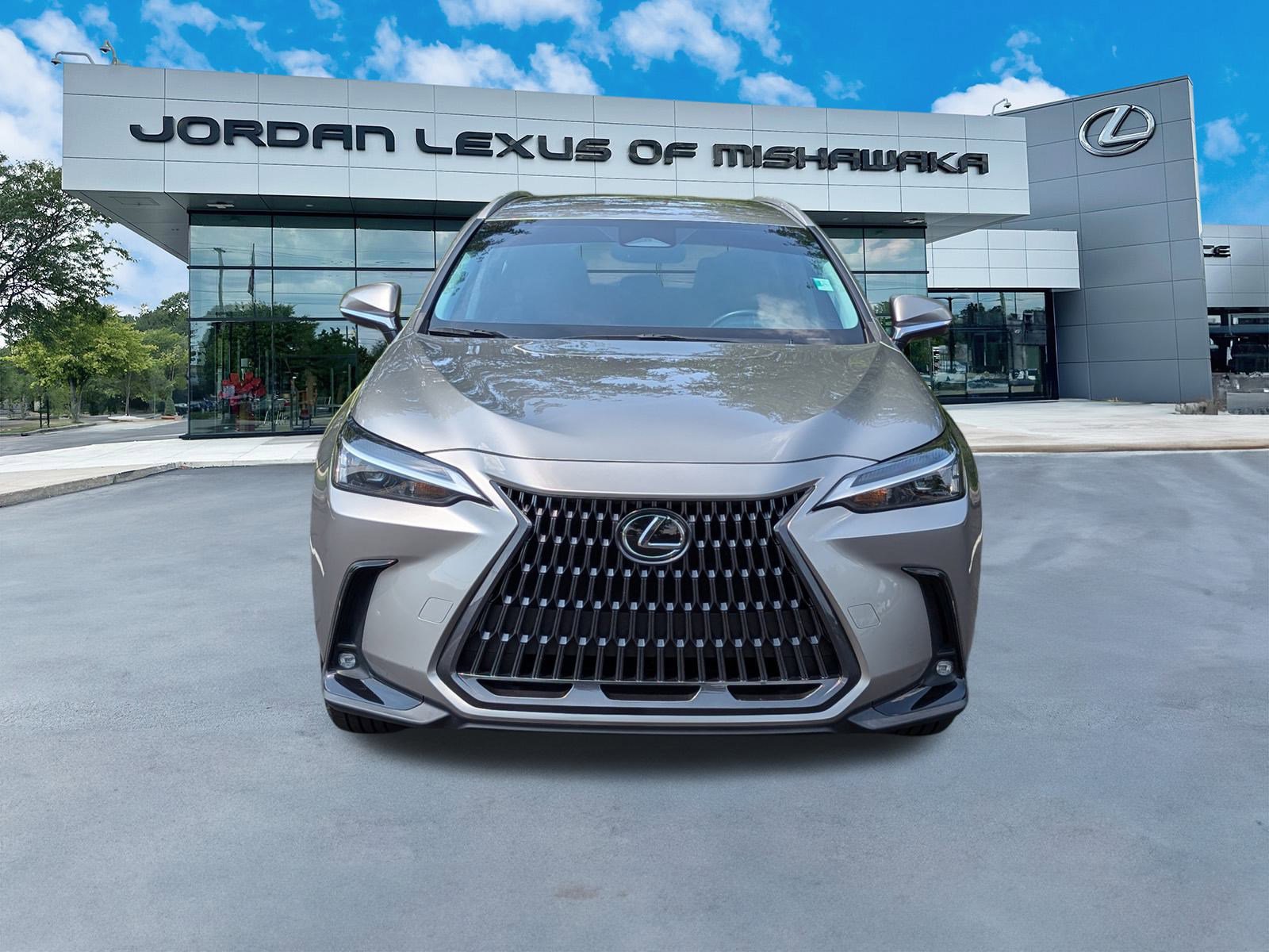 2022 Lexus NX 350h photo 3