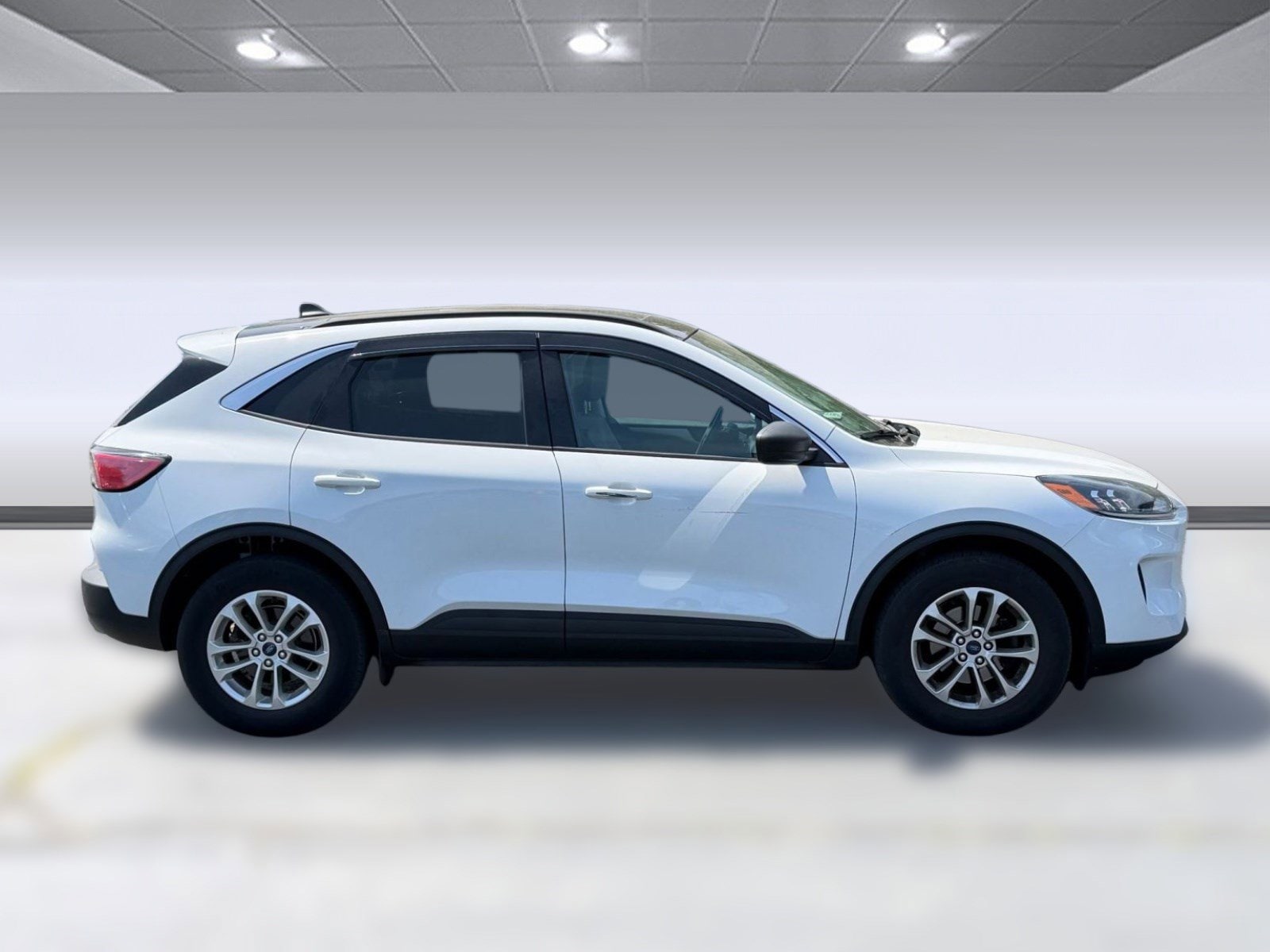 Escape SE SE AWD