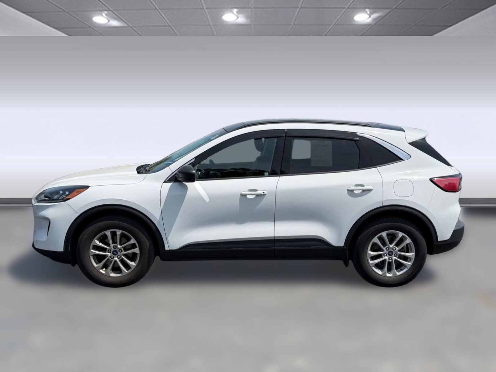 Escape SE SE AWD