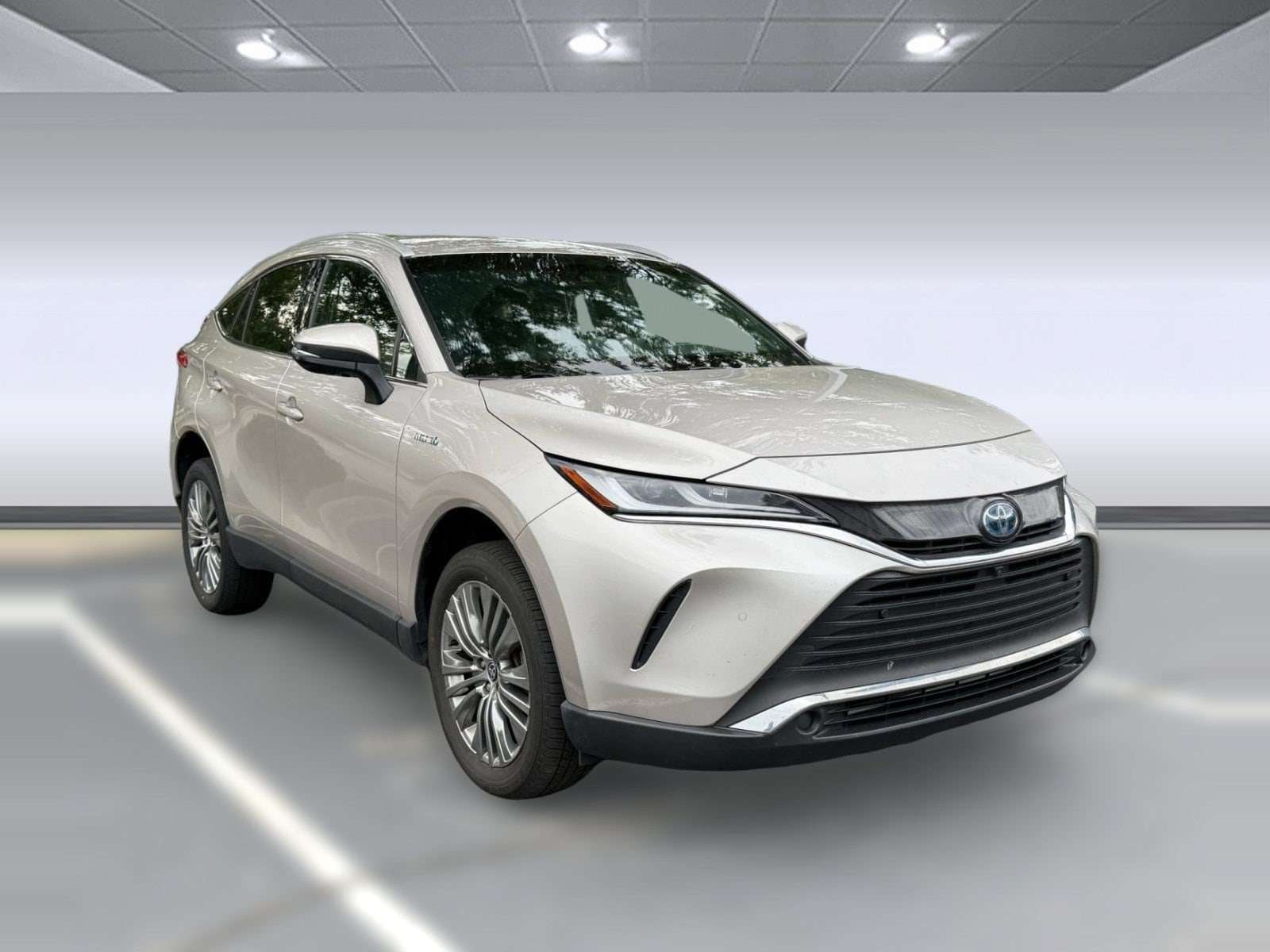 Venza Limited Limited AWD