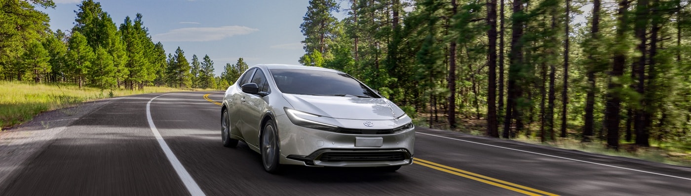 White Toyota Prius XLE AWD driving in a forest