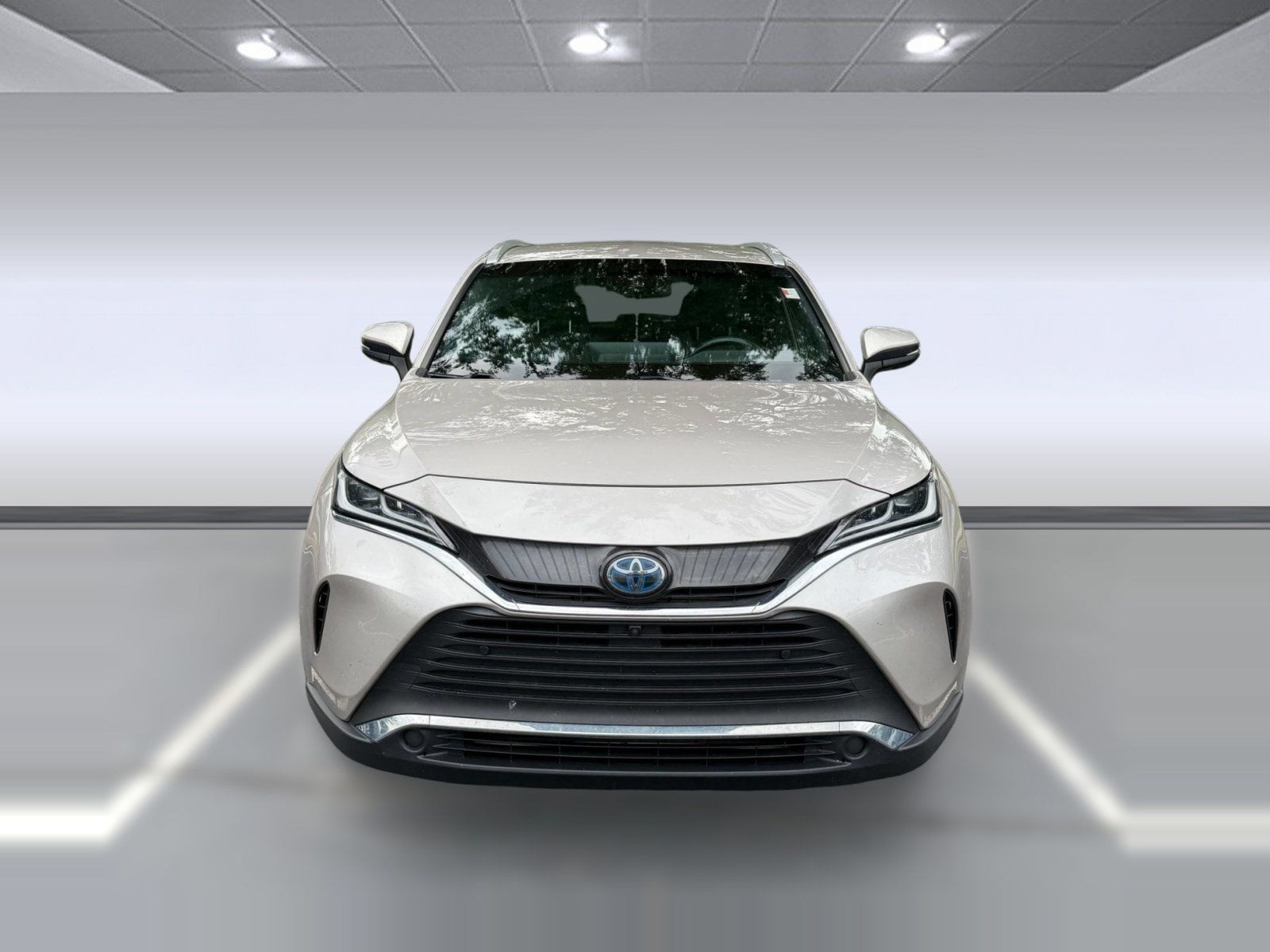 Venza Limited Limited AWD