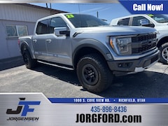 2023 Ford F-150 Raptor Truck