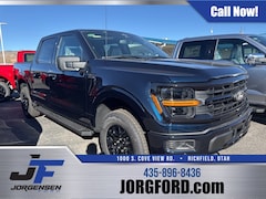 2025 Ford F-150 XLT Truck