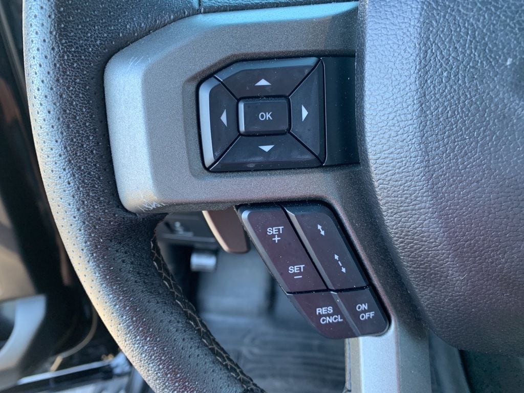 2017 Ford F-150 Raptor - Photo 16