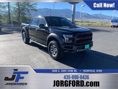 2017 Ford F-150 Raptor Truck