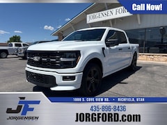2025 Ford F-150 STX Truck