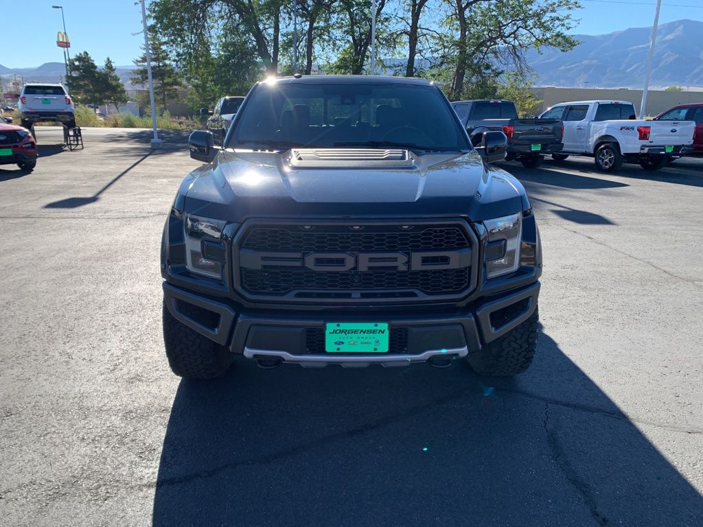2017 Ford F-150 Raptor - Photo 8