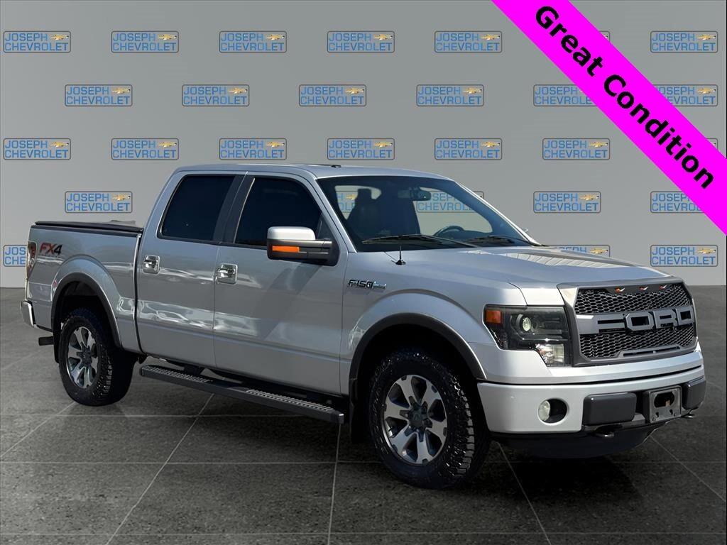 2013 Ford F-150 FX4 photo 3
