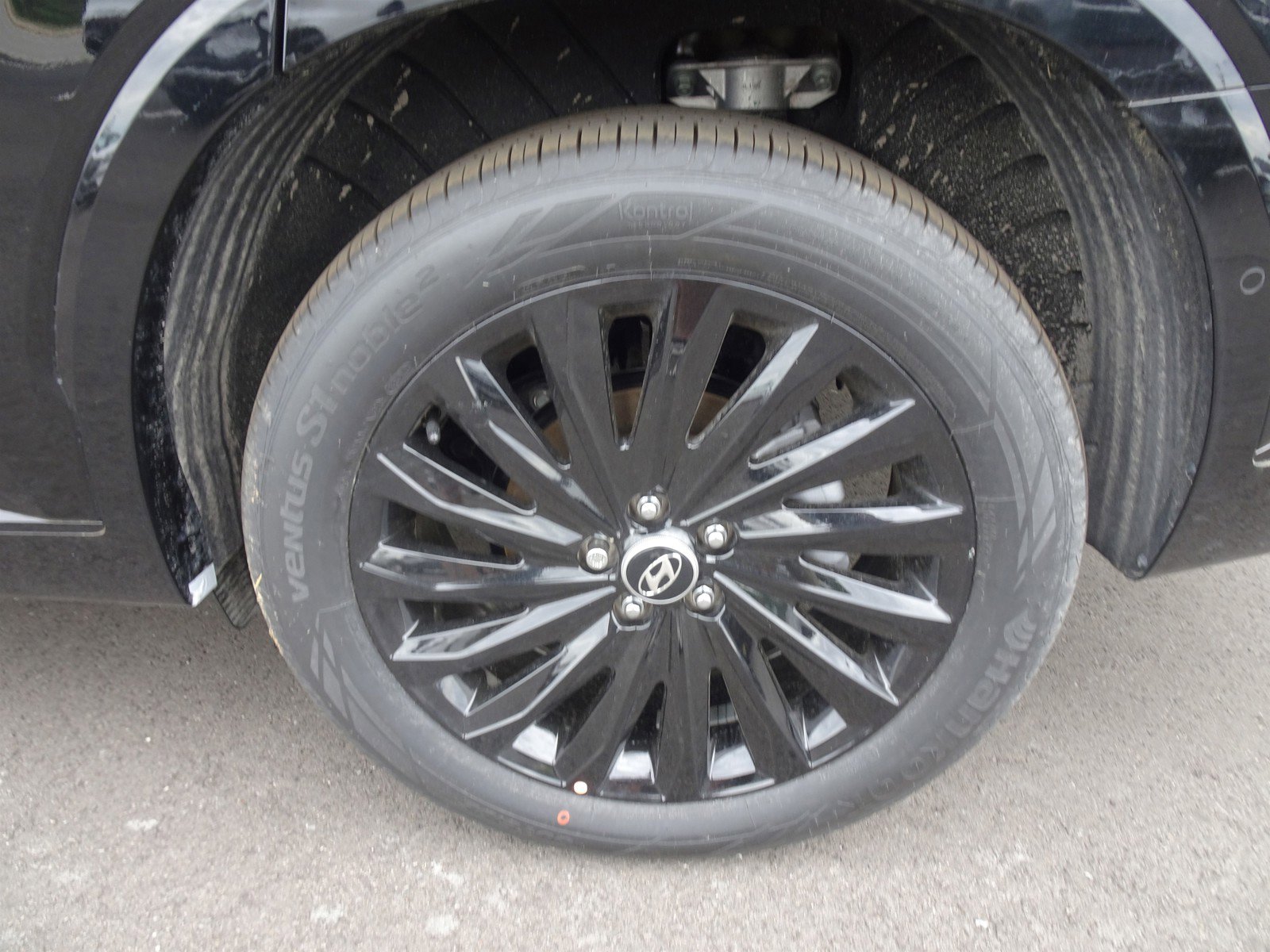 2024 Hyundai Palisade Calligraphy photo 3