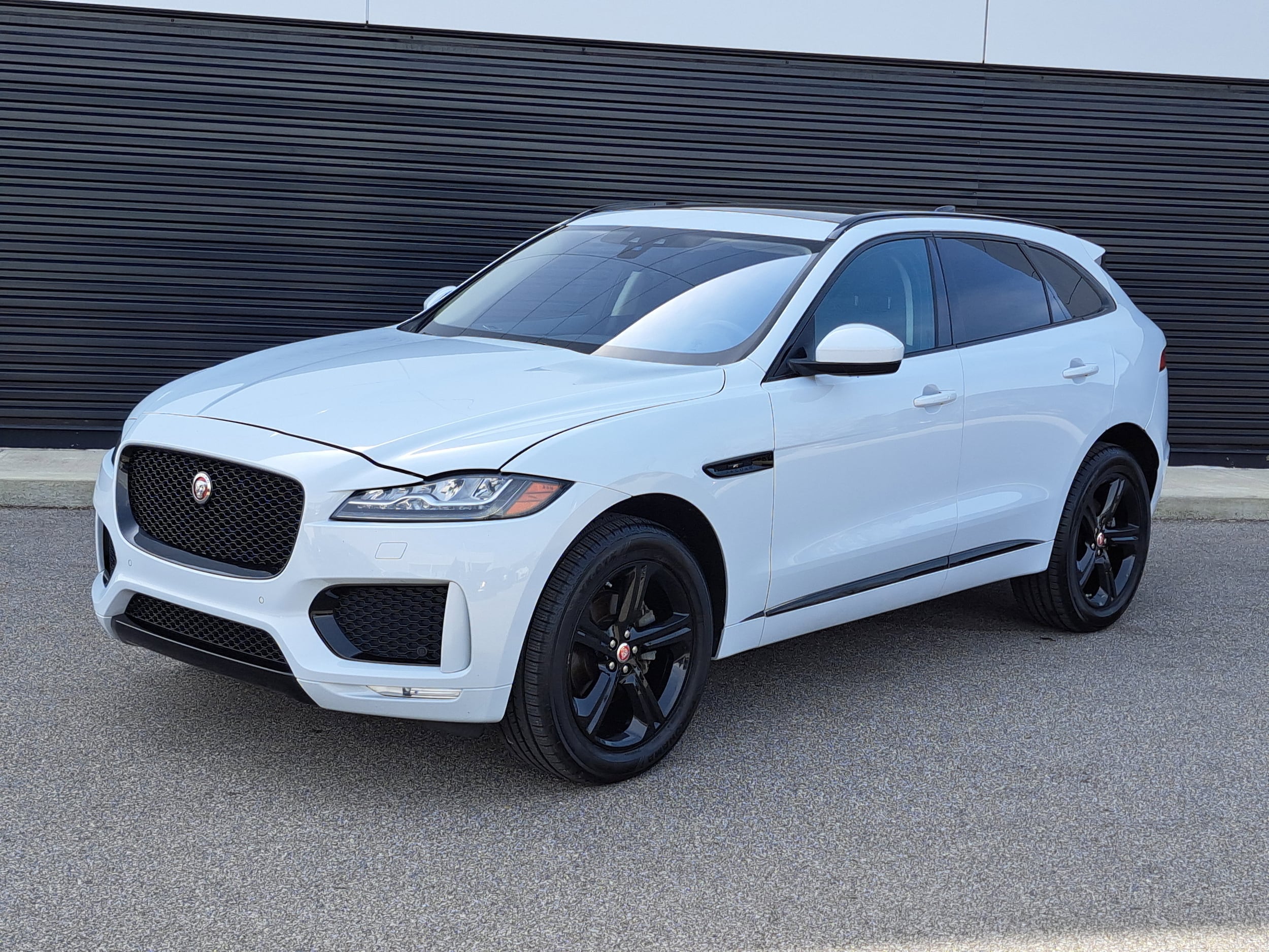2020 Jaguar F-Pace Checkered Flag