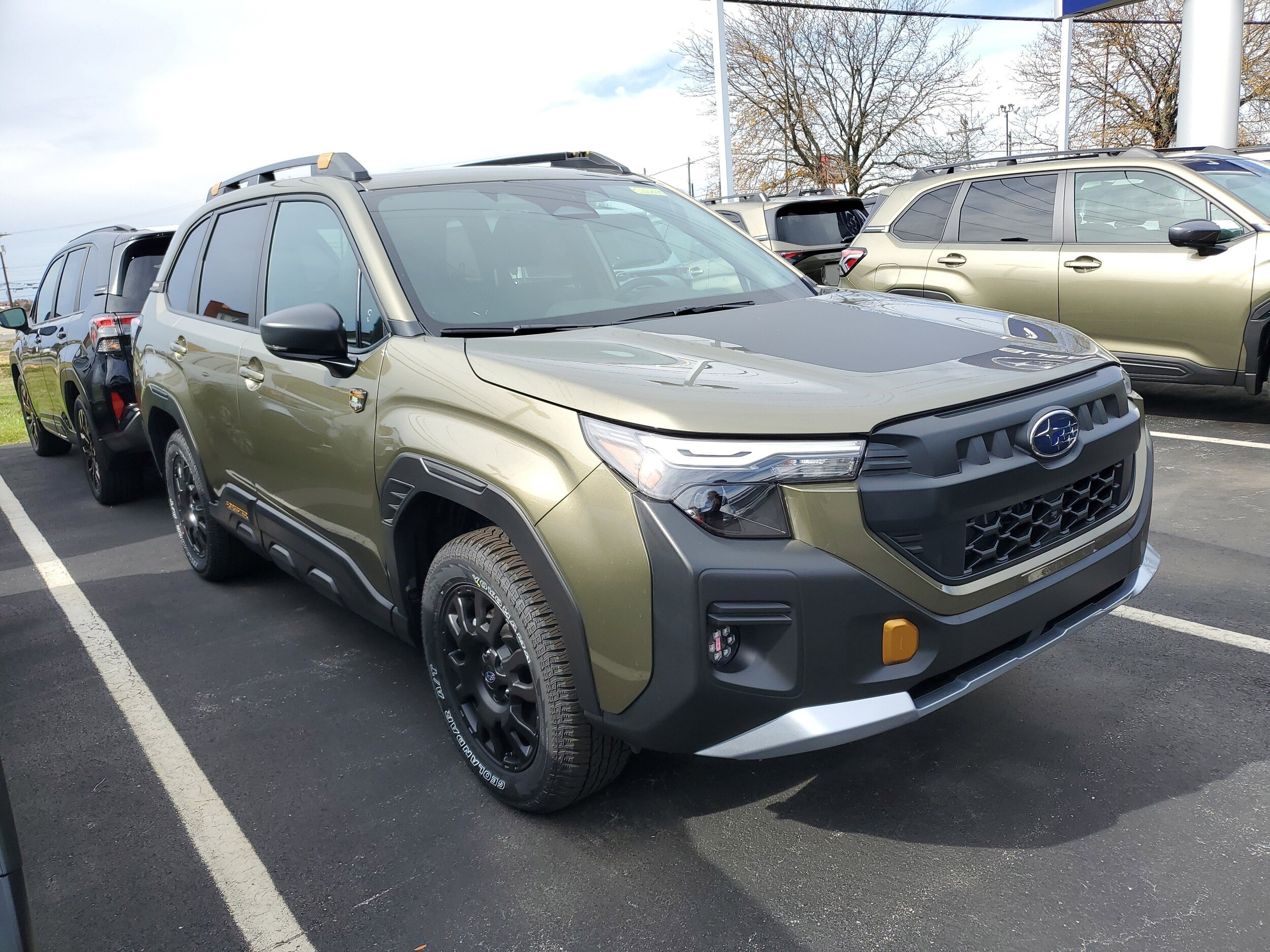 2026 Subaru Forester Wilderness photo 3