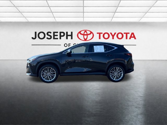 Used 2025 Lexus NX 350 350 Premium SUV