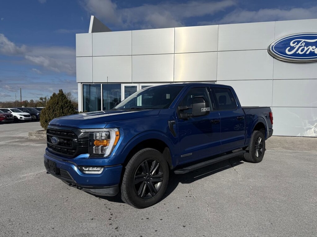 Used 2022 Ford F-150 XL