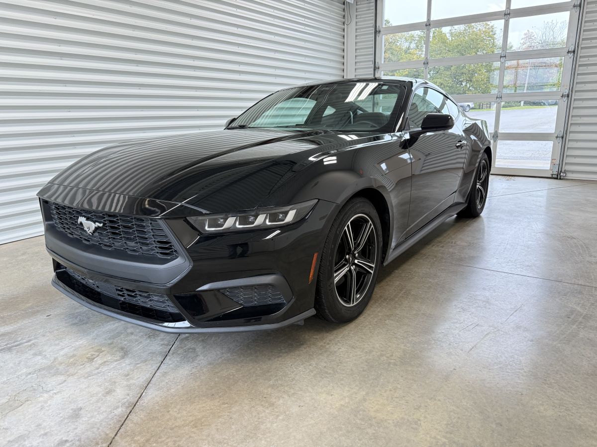 2024 Ford Mustang EcoBoost's photo