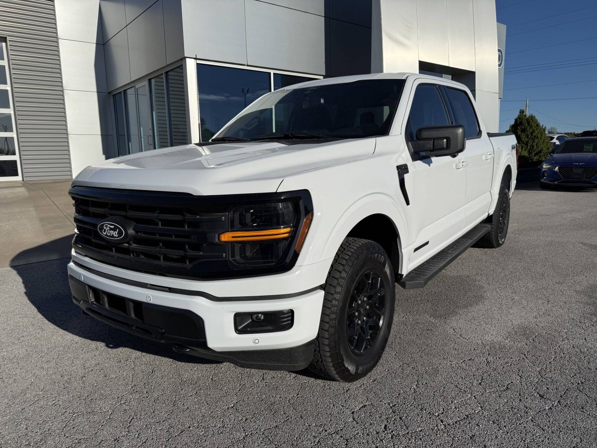 2024 Ford F-150 XLT's photo