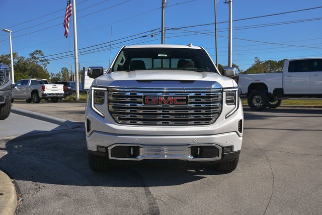 2025 Gmc Sierra 1500 Denali photo 4