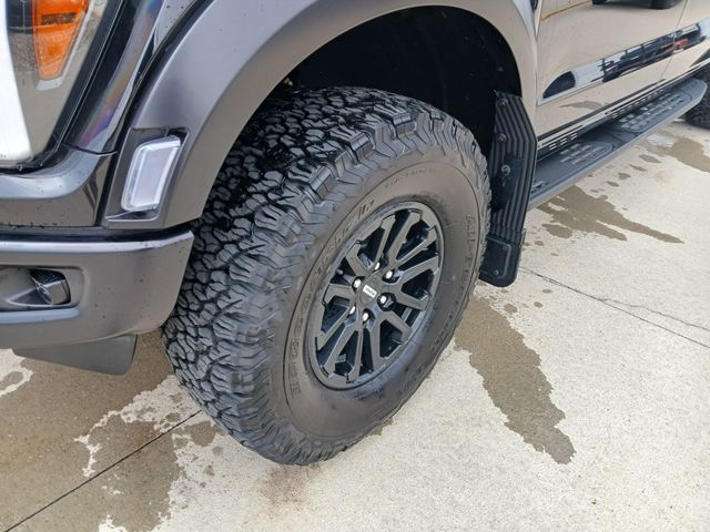 2025 Ford F-150 Raptor - Photo 10