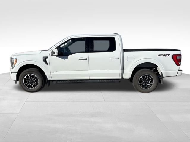 2023 Ford F-150 Lariat photo 2