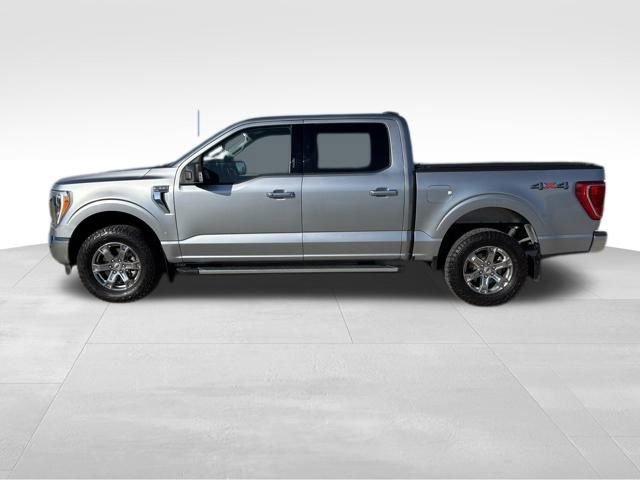2023 Ford F-150 XLT photo 2