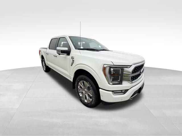 2022 Ford F-150 Platinum photo 3