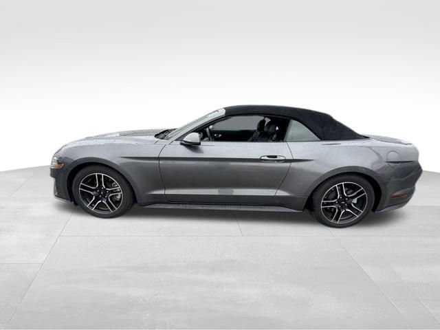 2021 Ford Mustang EcoBoost Premium Convertible photo 3