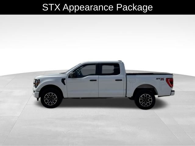 2023 Ford F-150 XL photo 2
