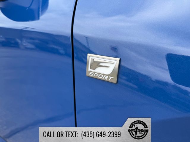 2024 Lexus RX 350 F SPORT - Photo 10
