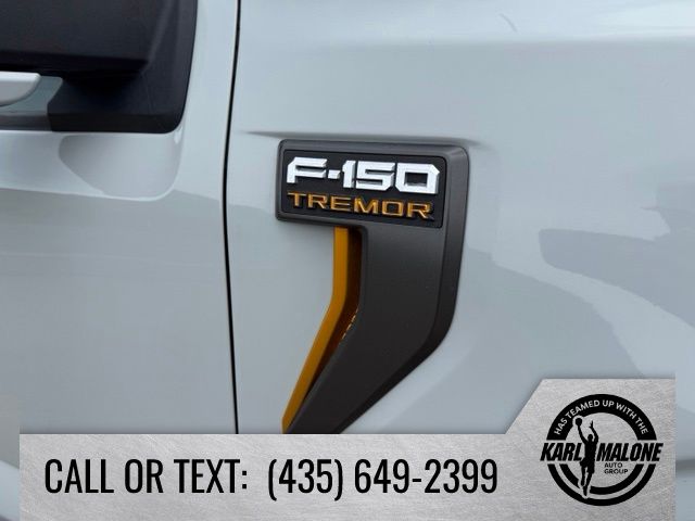 2023 Ford F-150 Tremor - Photo 11
