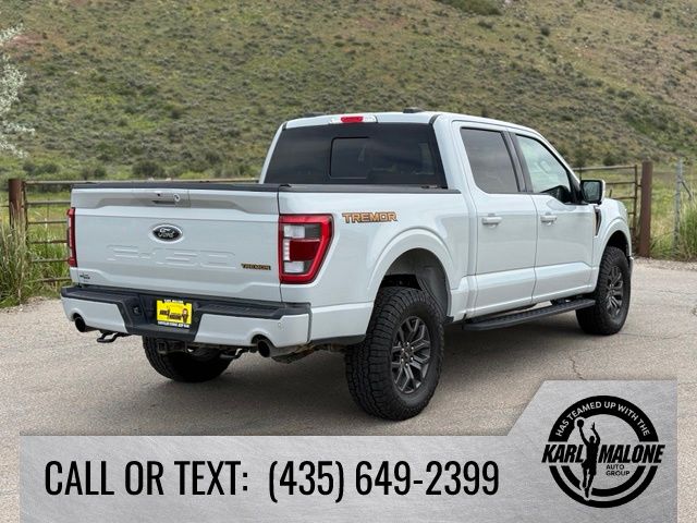 2023 Ford F-150 Tremor - Photo 6