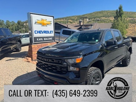 2026 Chevrolet Silverado 1500 Custom Trail Boss Truck