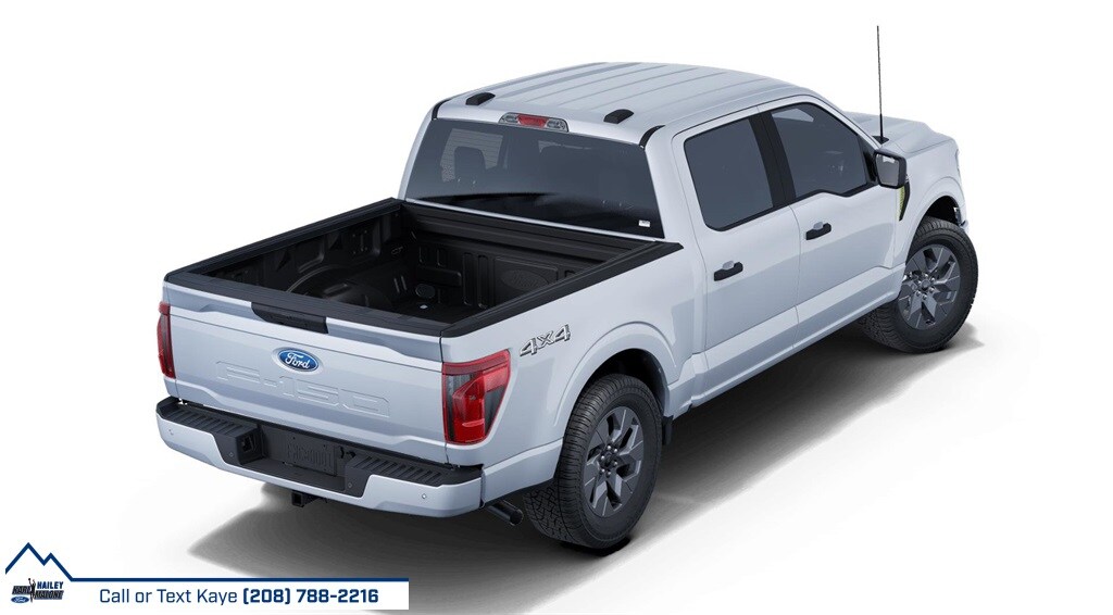 2025 Ford F-150 STX photo 3