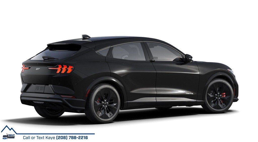 2025 Ford Mustang Mach-E GT photo 3