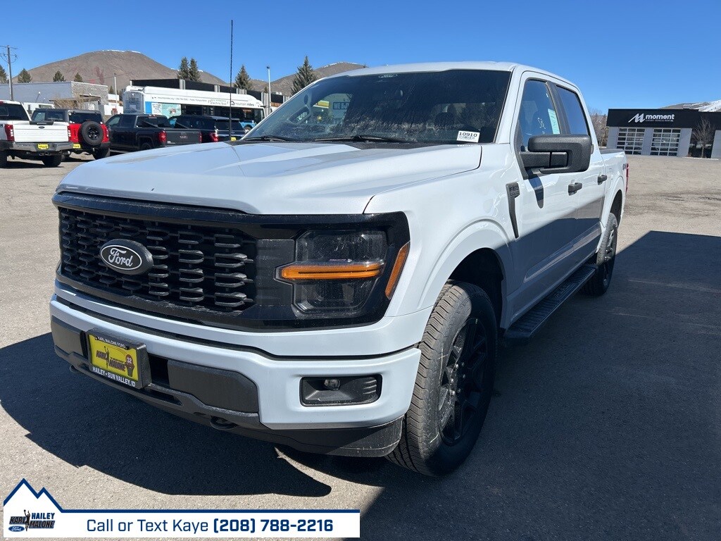 2025 Ford F-150 STX photo 3