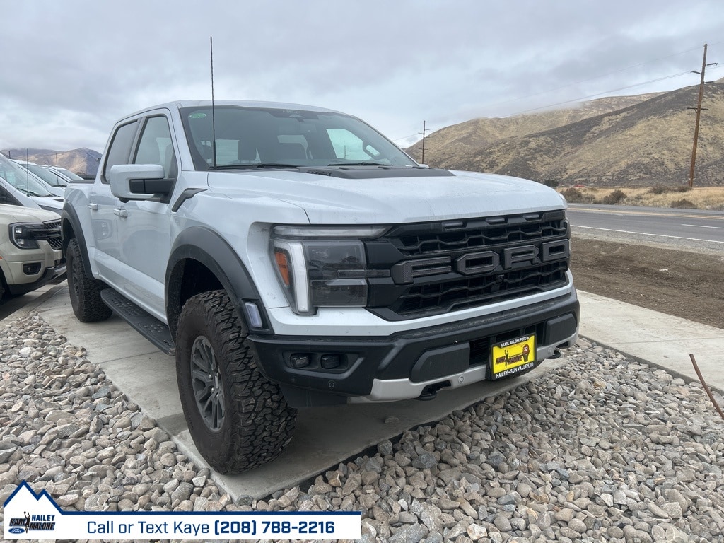 2025 Ford F-150 Raptor's photo