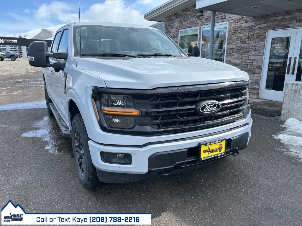 2025 Ford F-150 Truck  2025 Ford F-150 Truck