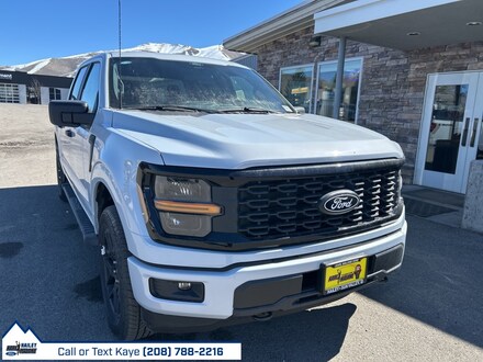 2025 Ford F-150 STX Truck