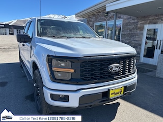 2025 Ford F-150 STX Truck