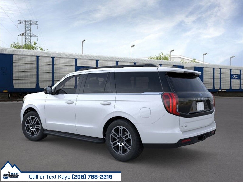 2025 Ford Expedition photo 3