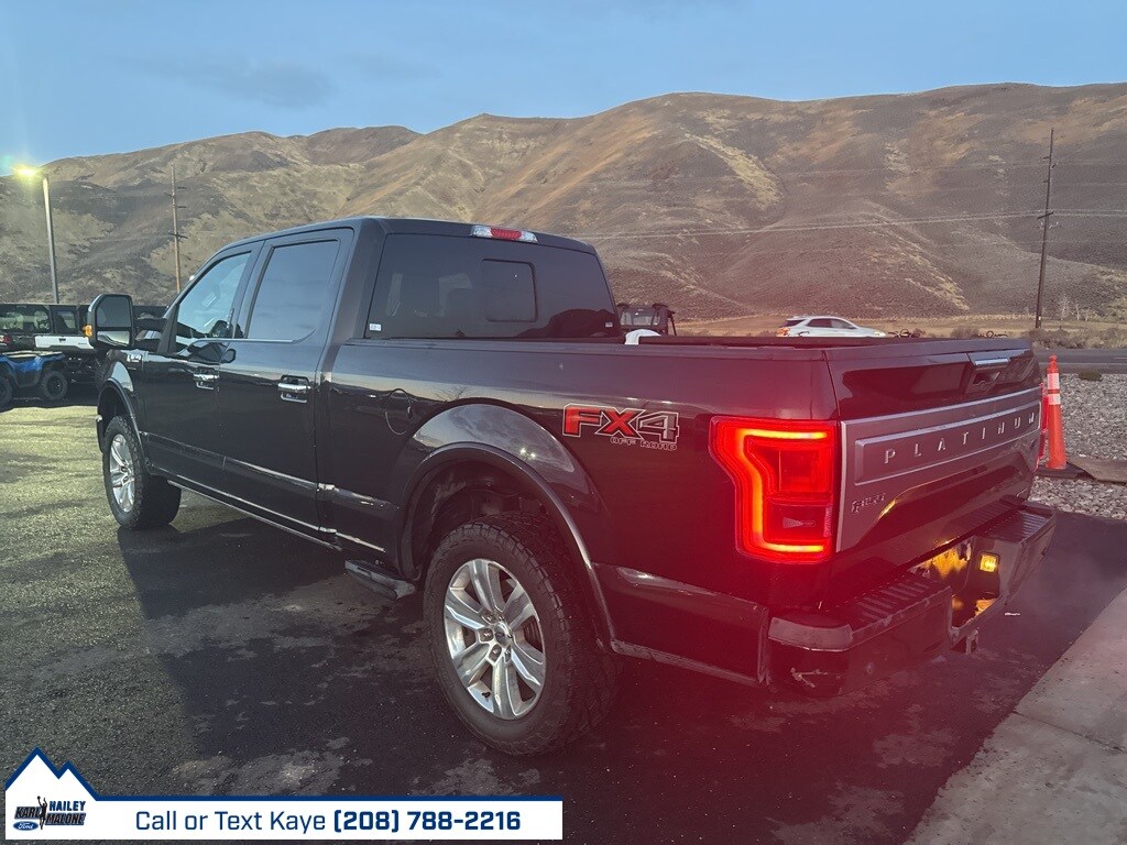2015 Ford F-150 Platinum photo 3