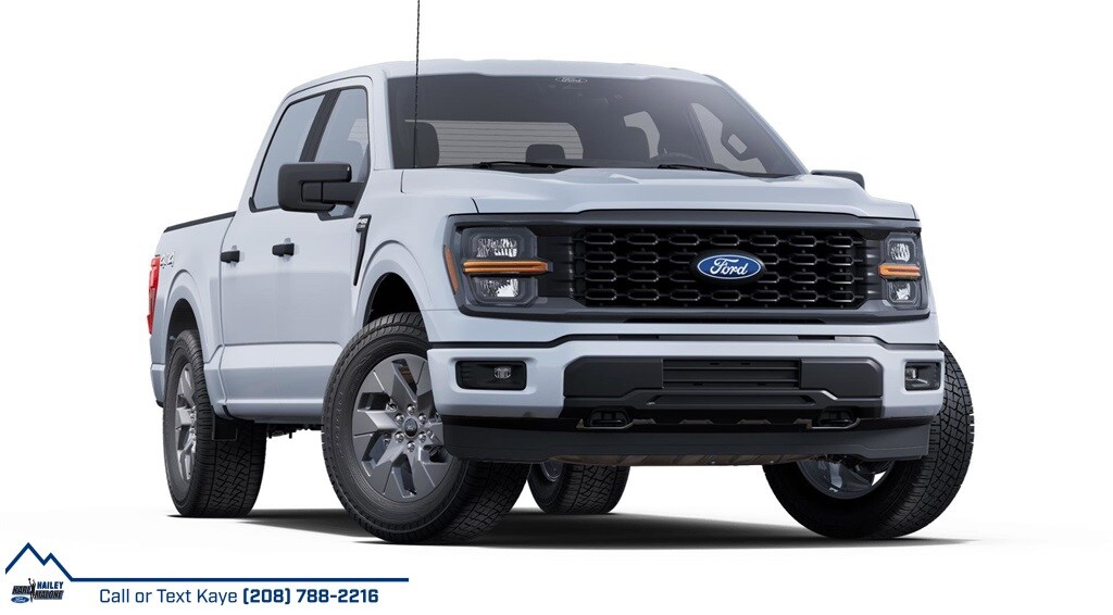 2025 Ford F-150 STX photo 4