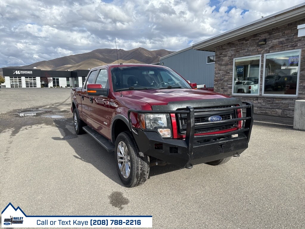 2013 Ford F-150 Base photo 3