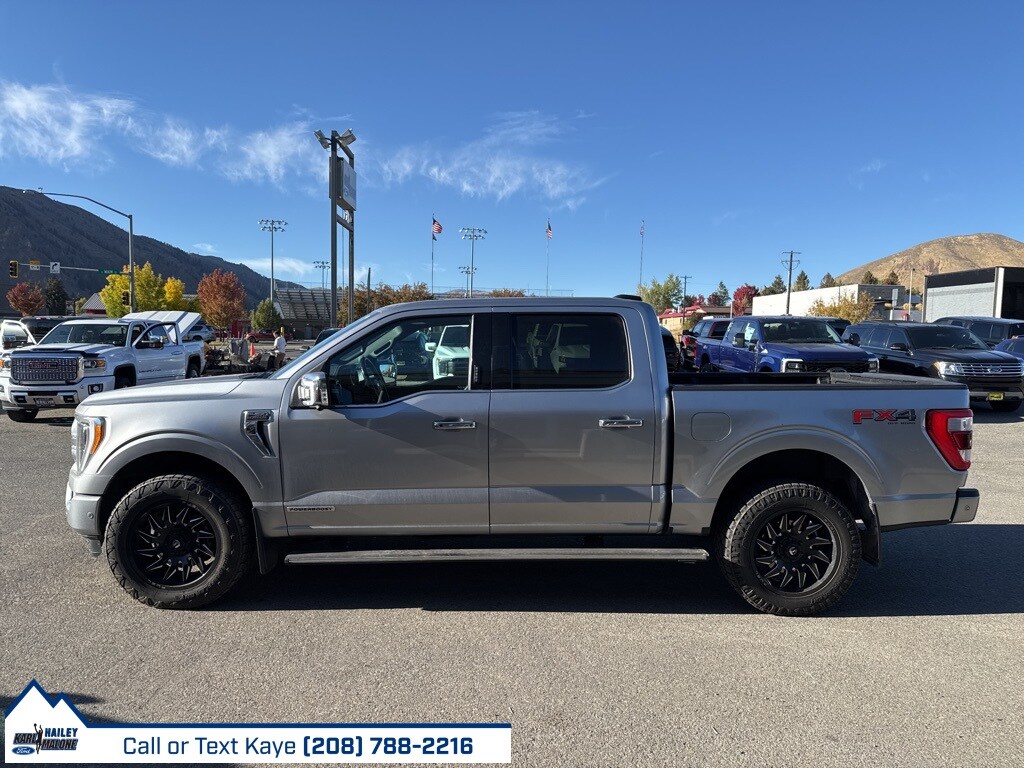 2021 Ford F-150 Platinum photo 3