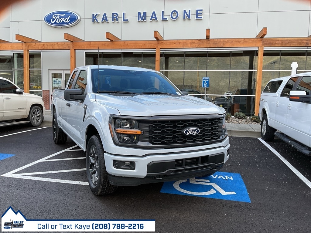 2025 Ford F-150 STX's photo