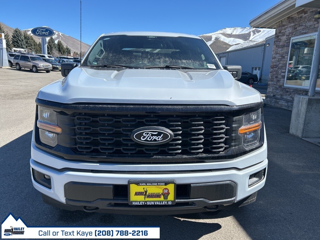 2025 Ford F-150 STX photo 2