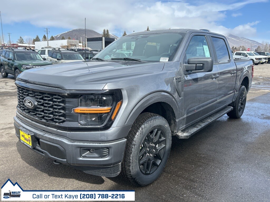2025 Ford F-150 STX photo 3